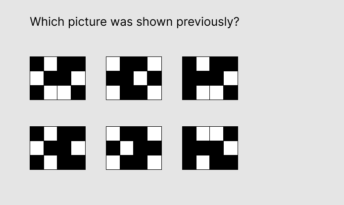 FEAST Memorize Pictograms Test